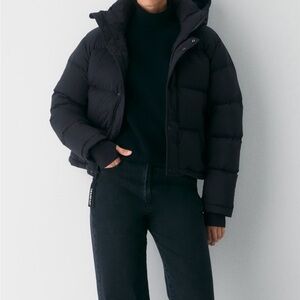 Aritzia SuperPuff Shorty Jacket